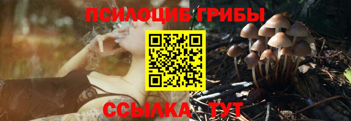 что такое   Вход с VPN  Нижний Новгород  Псилоцибиновые грибы Cubensis  Галлюциногенные грибы мицелий 